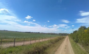 18 has Chacra - Campana