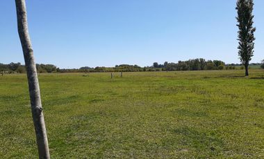 18 has Chacra - Campana