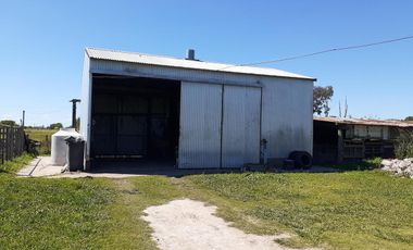 18 has Chacra - Campana