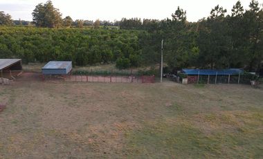 Venta Casa quinta playa oportunidad