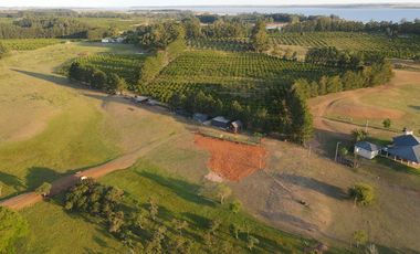 Venta Casa quinta playa oportunidad