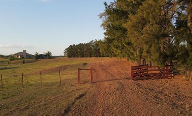 Venta Casa quinta playa oportunidad