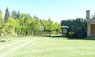 Casa - Venta - General Roca - Zona Residencial - C025