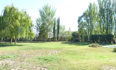 Casa - Venta - General Roca - Zona Residencial - C025