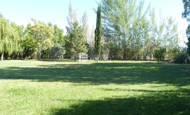 Casa - Venta - General Roca - Zona Residencial - C025