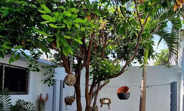 Casa de 3 recamaras AMUEBLADA en Villa de Alvarez, Colima