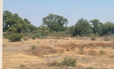 Terreno en Venta, El Llano, 11,666 m2