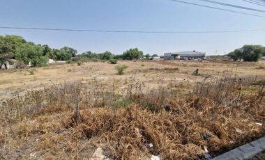 Terreno en Venta, El Llano, 11,666 m2