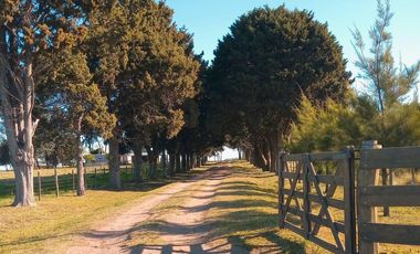 Chacra en venta - 4 Dormitorios 3 Baños - 55.000Mts2 - Saladillo