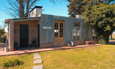 Chacra en venta - 4 Dormitorios 3 Baños - 55.000Mts2 - Saladillo