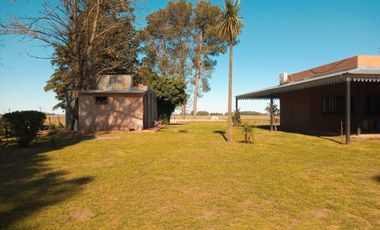 Chacra en venta - 4 Dormitorios 3 Baños - 55.000Mts2 - Saladillo
