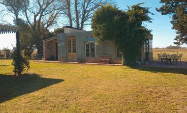Chacra en venta - 4 Dormitorios 3 Baños - 55.000Mts2 - Saladillo