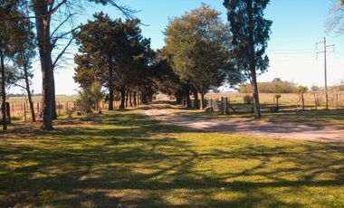 Chacra en venta - 4 Dormitorios 3 Baños - 55.000Mts2 - Saladillo