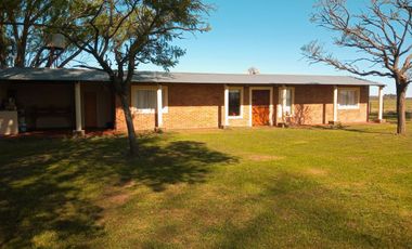 Chacra en venta - 4 Dormitorios 3 Baños - 55.000Mts2 - Saladillo