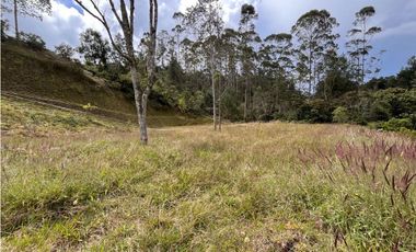 LOTE EN VENTA EN EL RETIRO SECTOR PANTANILLO UNIDAD CERRADA CON BOSQUE