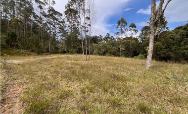 LOTE EN VENTA EN EL RETIRO SECTOR PANTANILLO UNIDAD CERRADA CON BOSQUE