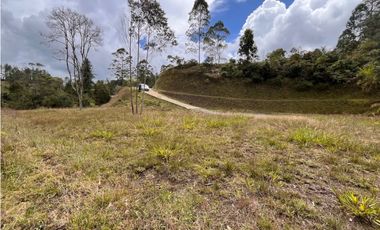 LOTE EN VENTA EN EL RETIRO SECTOR PANTANILLO UNIDAD CERRADA CON BOSQUE