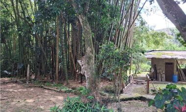 ESPECTACULAR PREDIO GUATIGUARA