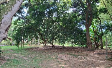 ESPECTACULAR PREDIO GUATIGUARA