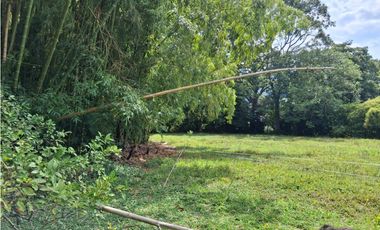 ESPECTACULAR PREDIO GUATIGUARA