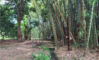 ESPECTACULAR PREDIO GUATIGUARA