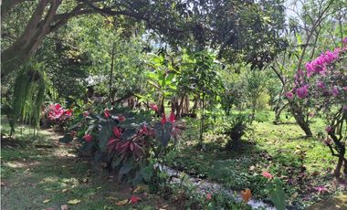 ESPECTACULAR PREDIO GUATIGUARA