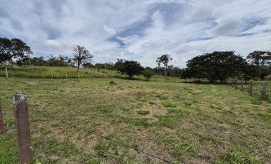 PARCELA - LOTE EN VENTA EN EL SECTOR GENAGRA, POPAYN