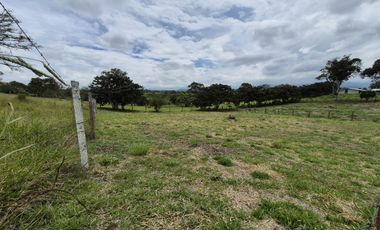 PARCELA - LOTE EN VENTA EN EL SECTOR GENAGRA, POPAYN