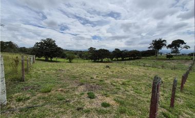 PARCELA - LOTE EN VENTA EN EL SECTOR GENAGRA, POPAYN