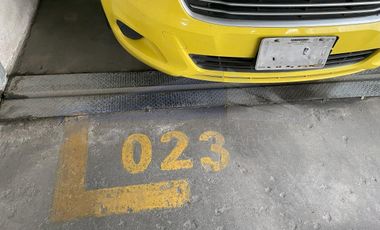 Departamento, Agrícola Oriental, Oriente 229 38