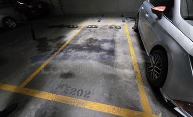 Departamento, Agrícola Oriental, Ote. 253 39