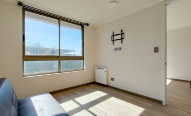 Porto Seguro 4210 (1 Bod)