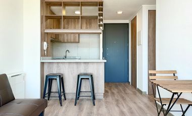 Porto Seguro 4210 (1 Bod)