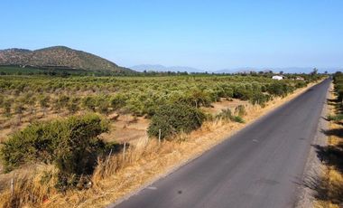 Parcelas En Marchigue Litueche La estrella con Crédito