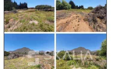 Terreno Construccion en Arriendo en Av. Guillermo ulriksen