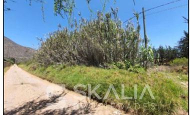 Terreno Construccion en Arriendo en Av. Guillermo ulriksen