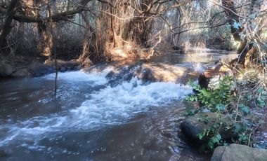 PARCELAS PASO PERALES BOYEN, CHILLAN