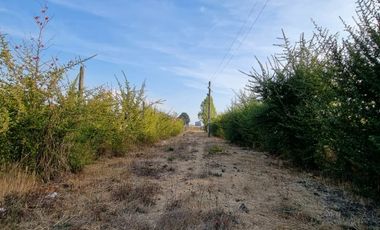 REBAJADA !! PARCELA CAMINO COIHUECO  CHILLAN KM 16