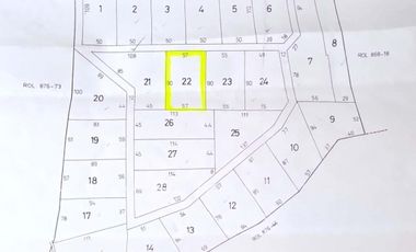 PARCELA CAMINO TERMAS DE CHILLAN , SECTOR CHACAY KM44