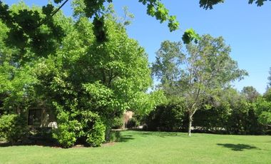 Parcela en Arriendo en Camino Lonquen Norte Paradero 1