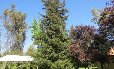 Parcela en Arriendo en Camino Lonquen Norte Paradero 1