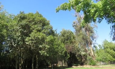 Parcela en Arriendo en Camino Lonquen Norte Paradero 1