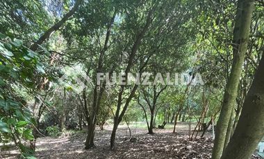 Parcela en Venta en Sector San Miguel Quillón