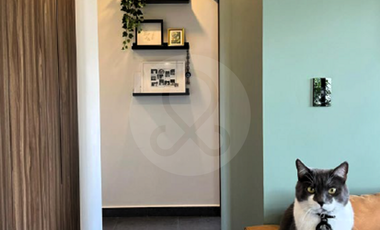 PH en venta en Roma Sur