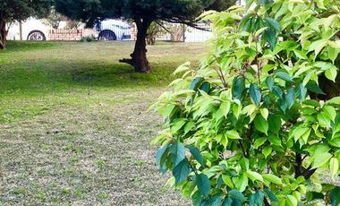 Vicente lopez al 800 - Monte Grande