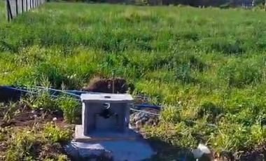 PARCELACION EL MAITEN, GRANEROS