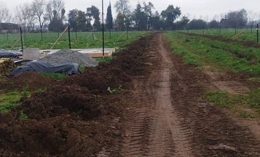 PARCELACION EL MAITEN, GRANEROS