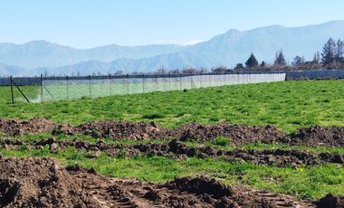 PARCELACION EL MAITEN, GRANEROS