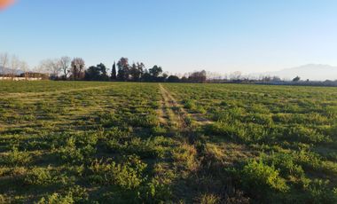 PARCELACION EL MAITEN, GRANEROS