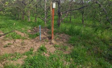 VENTA PARCELA 5000MTS la compañia, 1300